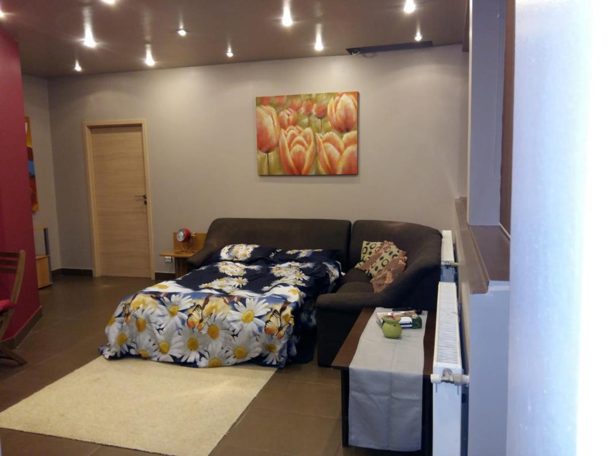 Penthouse Larry Apartment Bucureşti Ngoại thất bức ảnh